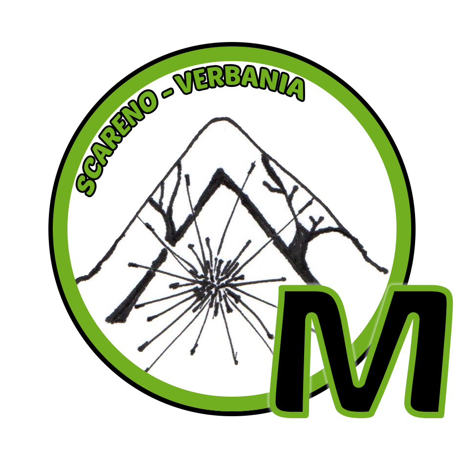 Om Verbania test
